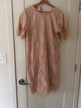 Roolee Blush Lace Midi Dress